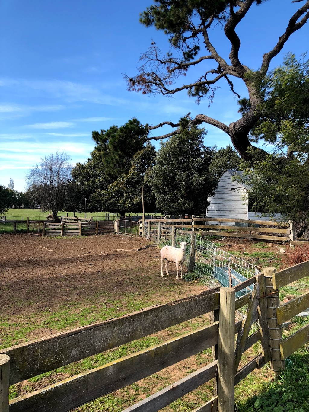 Jolly Painter Bed and Breakfast | lodging | 390 Illawarra Road Longford TAS 7301, Longford TAS 7301, Australia | 0407527383 OR +61 407 527 383