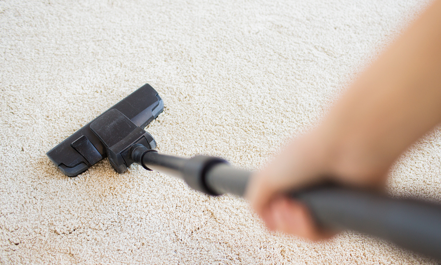 Carpet Cleaning Gold Coast | 85 Belmont Park Dr, Mudgeeraba QLD 4223, Australia | Phone: 1300 539 905