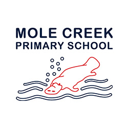 Mole Creek Primary School | school | 4 Caveside Rd, Mole Creek TAS 7304, Australia | 0363631140 OR +61 3 6363 1140