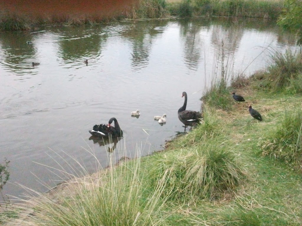 Burndap Park | Maribyrnong VIC 3032, Australia