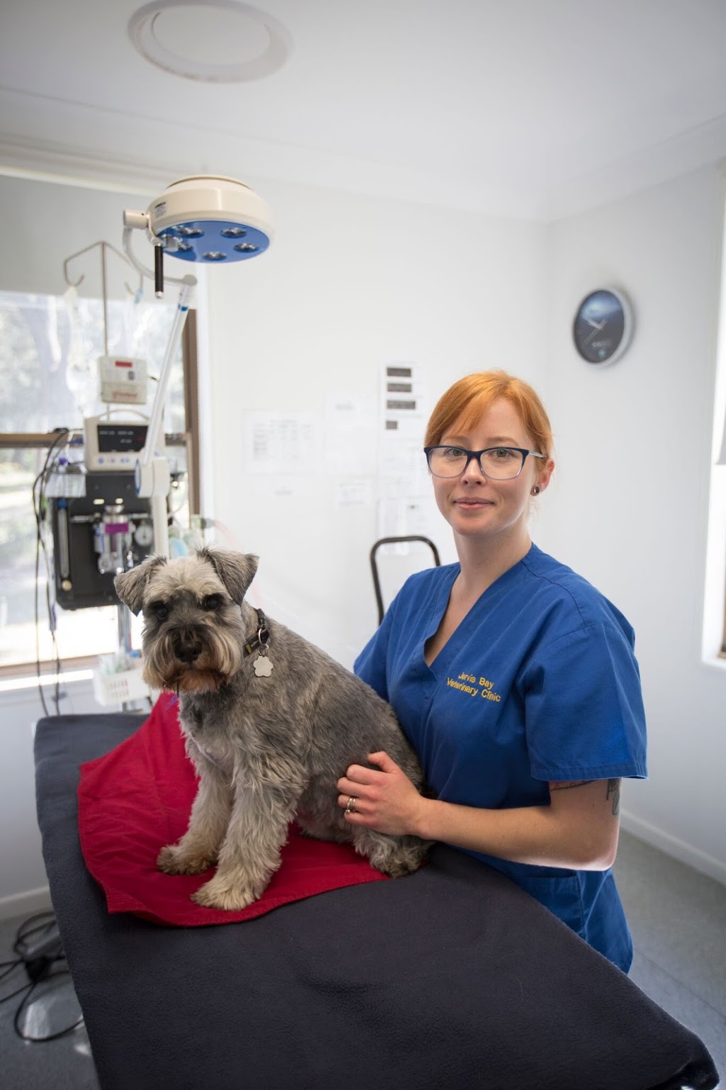 Jervis Bay Veterinary Clinic | veterinary care | 233 The Wool Rd, Old Erowal Bay NSW 2540, Australia | 0244439019 OR +61 2 4443 9019