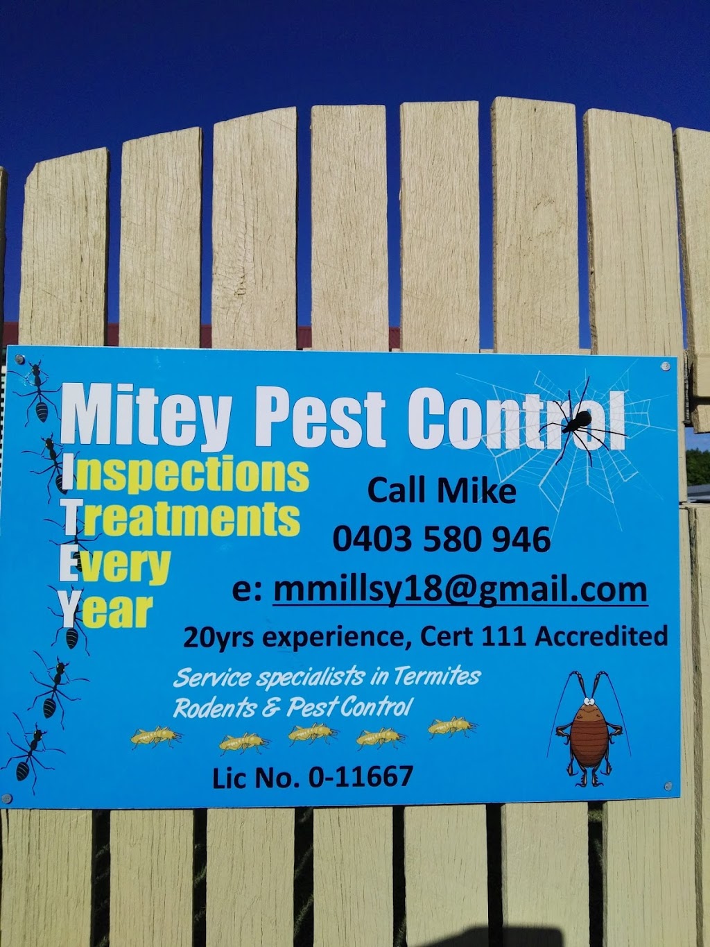 Mitey Termite & Pest Control | home goods store | 17 Britannic Ave, Cooloola Cove QLD 4580, Australia | 0403580946 OR +61 403 580 946
