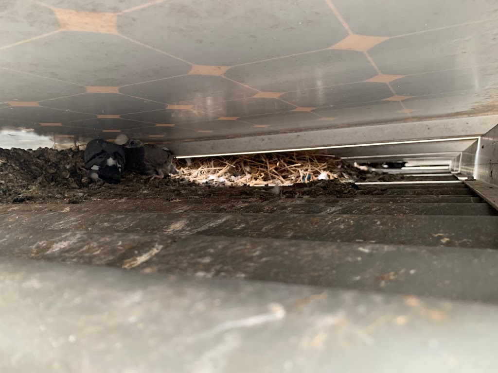 Sydney Solar Clean | 126 Hindmarsh St, Cranebrook NSW 2749, Australia | Phone: 0433 984 929 Sydney Solar Clean | 126 Hindmarsh St, Cranebrook NSW 2749, Australia | Phone: 0433 984 929