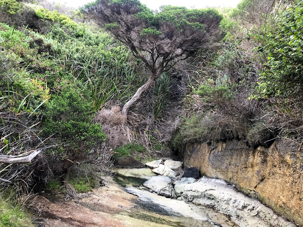 Waterfall Beach | tourist attraction | William Bay Rd, William Bay WA 6333, Australia | 0898400400 OR +61 8 9840 0400