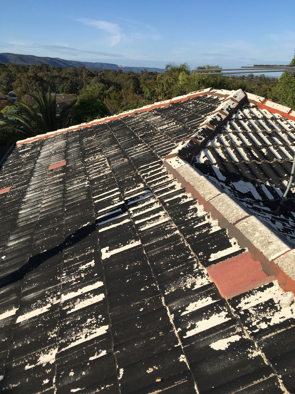 Photo by Enfield Roof Restorations. Enfield Roof Restorations | roofing contractor | 17 Bowey Ave, Enfield SA 5085, Australia | 0490071276 OR +61 490 071 276