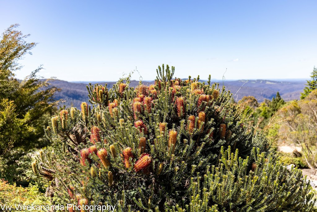 Australian Botanic Garden Mount Annan parkrun | Mount Annan NSW 2567, Australia | Phone: (02) 4631 4200