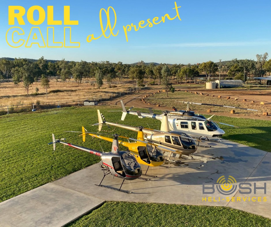 Bush Heli-Services Pty Ltd | 661 Peakvale Rd, Clermont QLD 4721, Australia | Phone: 0400 087 305