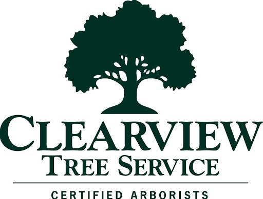 Clearview Tree Service | 15 Patrick St, Bateau Bay NSW 2261, Australia | Phone: 0417 219 118