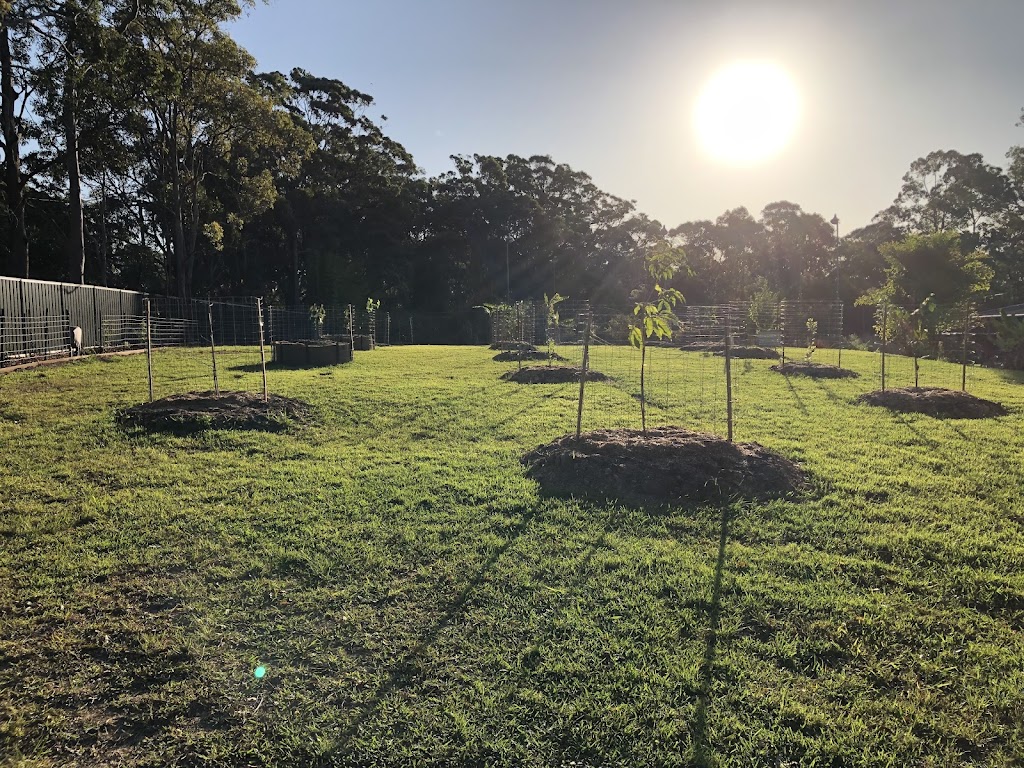 Aligned Landscapes | 99 Tuckers Rock Rd, Repton NSW 2454, Australia | Phone: 0474 252 414