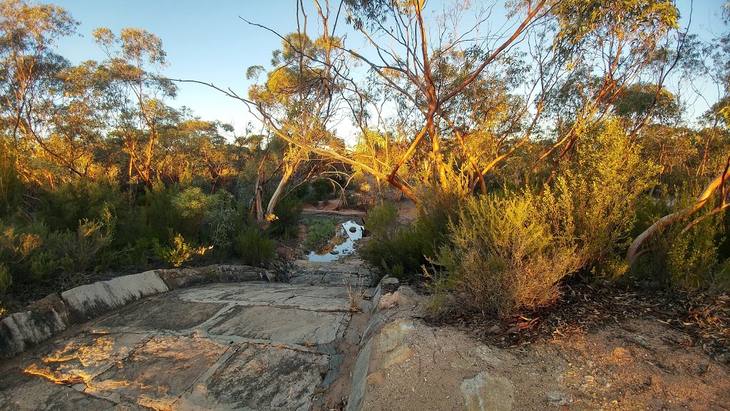 Goldfields Woodlands National Park | Great Eastern Hwy, Victoria Rock WA 6429, Australia | Phone: (08) 9080 5555