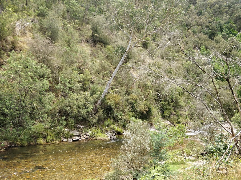 Grannys Flat Campground | campground | Mount Buller VIC 3723, Australia | 136186 OR +61 136186