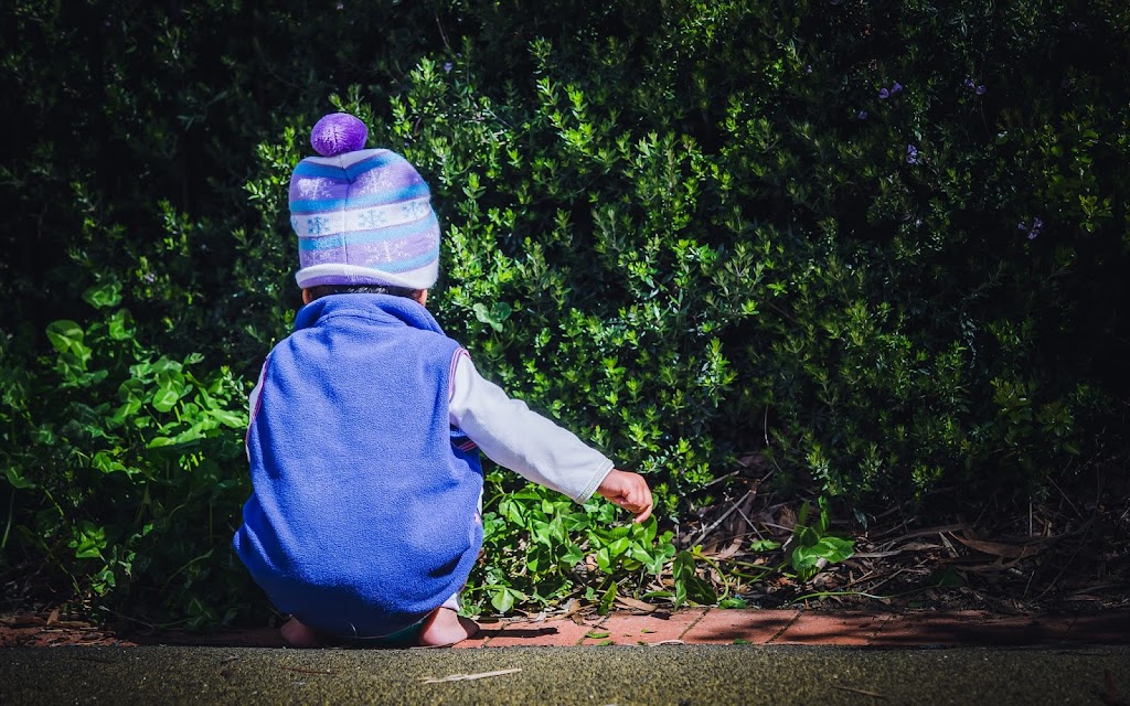 Treehouse in the Park Early Learning Centre | 57 Ormond St, Turner ACT 2612, Australia | Phone: (02) 6171 8060