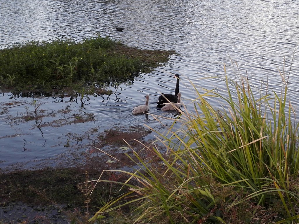 Little Boyd Street Reserve | park | Tugun QLD 4224, Australia