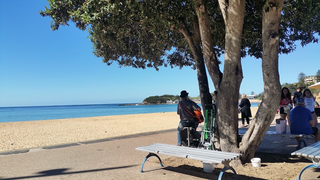 Terrigal Beachside Markets | Terrigal Esplanade, Terrigal NSW 2260, Australia | Phone: 0400 552 679