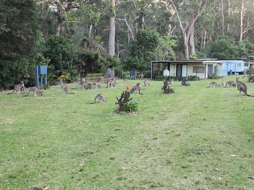 Bundilla Caravan Park | 83 Durras Rd, Durras North NSW 2536, Australia | Phone: (02) 4478 6013