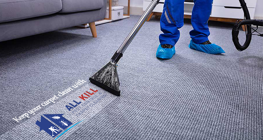 All Kill Pest control & Carpet cleaning | laundry | 24 Jonlyn Pl, Kuraby QLD 4112, Australia | 0450233588 OR +61 450 233 588