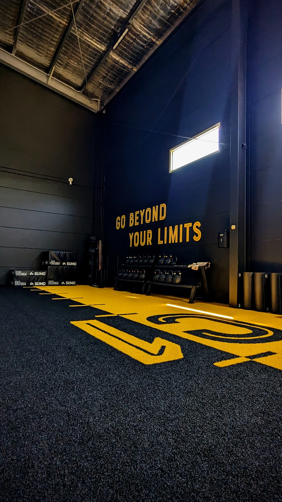 C1 Gym | 5 Hugh Murray Dr, Colac East VIC 3250, Australia | Phone: 0461 497 114