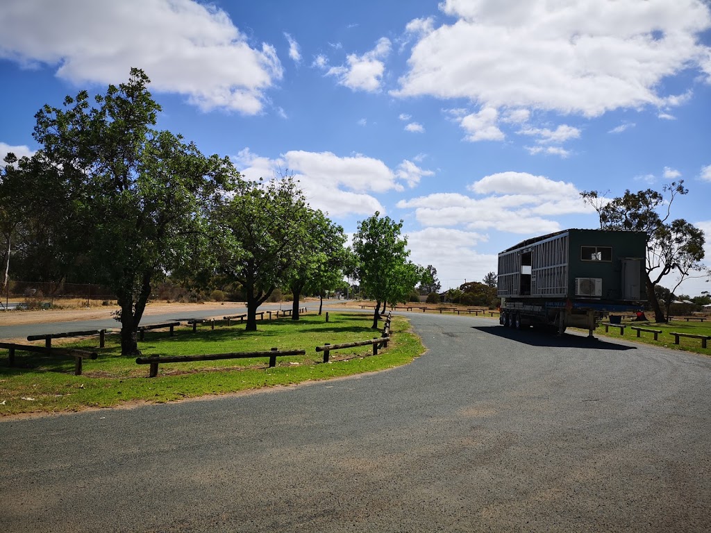 Balranald Lions Park | 182 Market St, Balranald NSW 2715, Australia | Phone: (03) 5020 1300