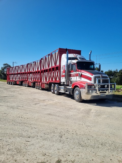 Paynes Livestock Transport | 50 Hall Rd, Pakenham South VIC 3810, Australia | Phone: 0408 344 194