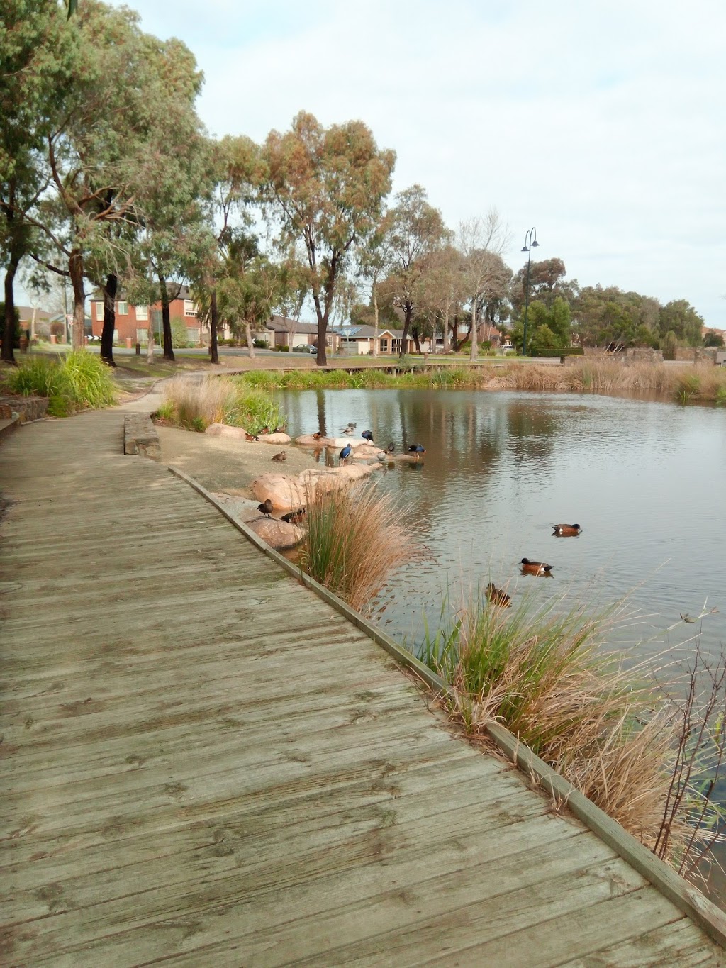 Beaconsfield wetlands | park | 2 Lakeview Terrace, Beaconsfield VIC 3807, Australia