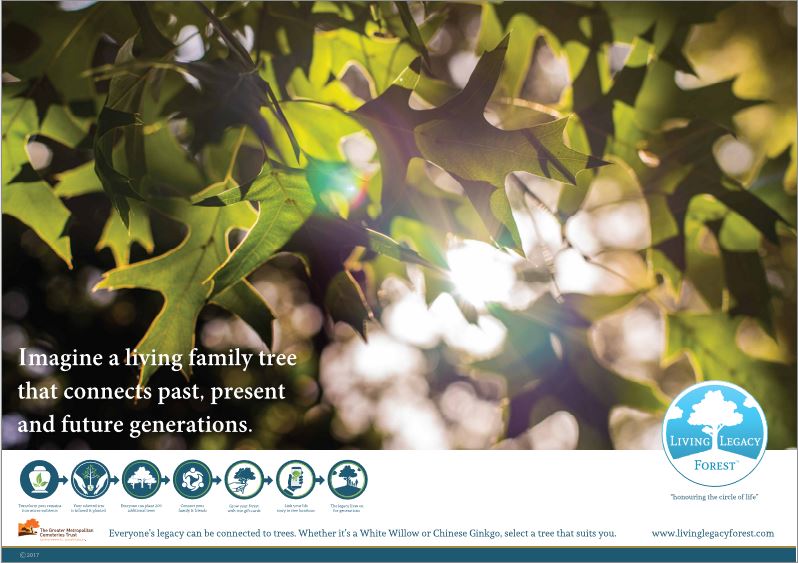 Living Legacy Forest | 125 Tyabb-Tooradin Rd, Somerville VIC 3912, Australia | Phone: 0439 927 736