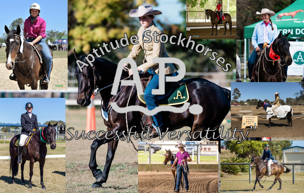 Aptitude Stock Horses | 123, Tinana South QLD 4650, Australia | Phone: 0438 786 546