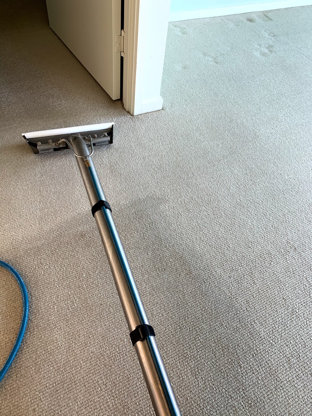Care Carpet Cleaning & Pest Control | 1/34 Kingfisher Dr, Bli Bli QLD 4560, Australia | Phone: 0432 091 959