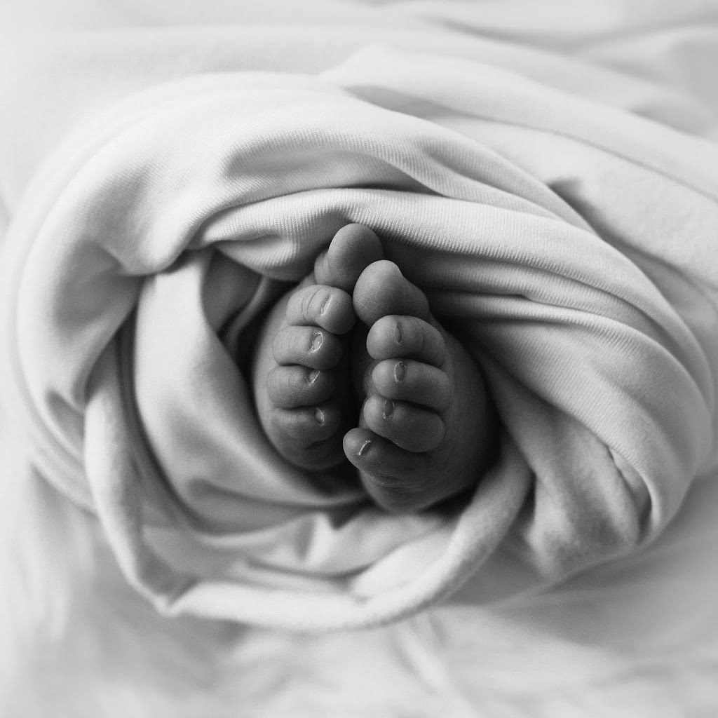 Amanda Photography & Art | 5 Zenca Ct, Murray Bridge SA 5253, Australia | Phone: 0431 883 076