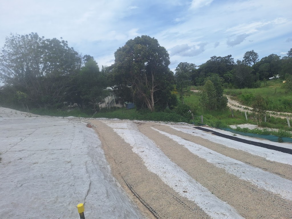 Essential Scotty Pty Ltd | Ryries Rd, Lawrence NSW 2460, Australia | Phone: 0459 419 420