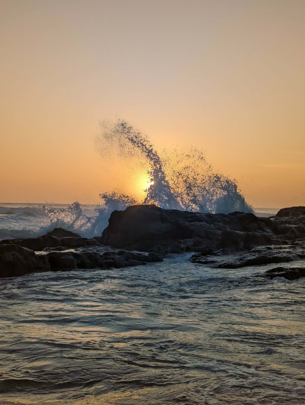 Barefoot Beach Yoga | 375 Blackfellows Point Rd, Potato Point NSW 2545, Australia | Phone: 0427 382 123