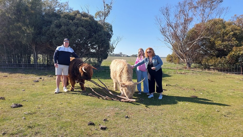 Point Little Farm | 687 Echuca West School Rd, Echuca West VIC 3564, Australia | Phone: 0407 703 198