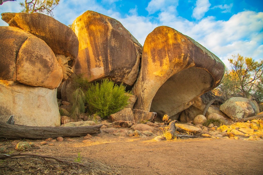 Wave Rock | Hyden WA 6359, Australia | Phone: (08) 9880 5160