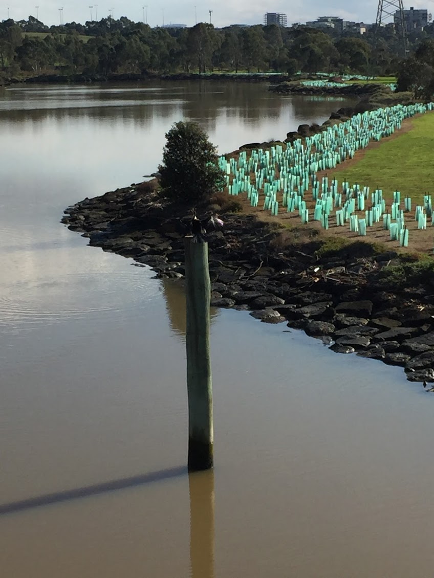 Maribyrnong River Trail | Unnamed Road, Maribyrnong VIC 3032, Australia