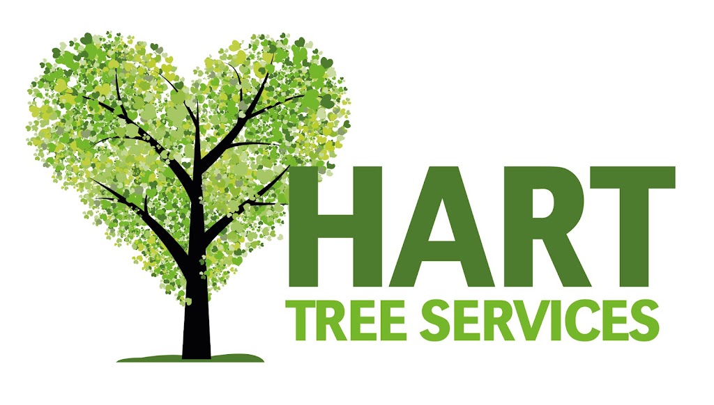 Hart Tree Services | 17 Golden Penda Pl, Mullumbimby NSW 2482, Australia | Phone: 0427 347 380