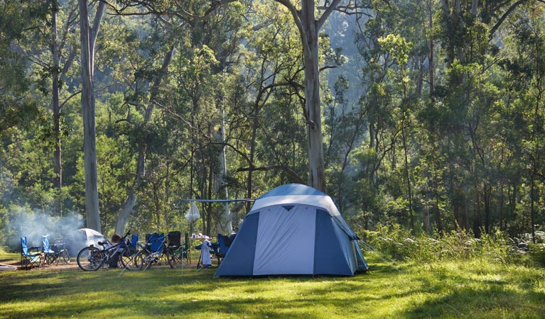 Euroka campground | campground | Fern Glen Walking Track, Blue Mountains National Park NSW 2787, Australia | 1300072757 OR +61 1300 072 757