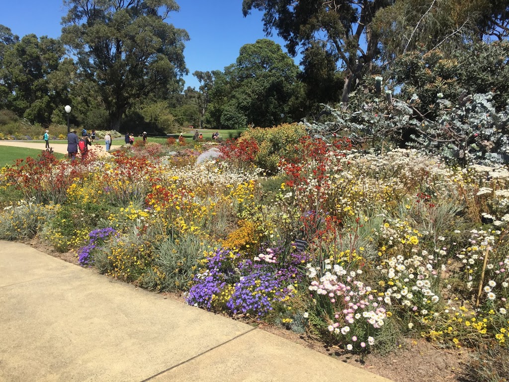 Kings Park and Botanic Garden | park | Fraser Ave, Kings Park WA 6005, Australia | 0894803600 OR +61 8 9480 3600