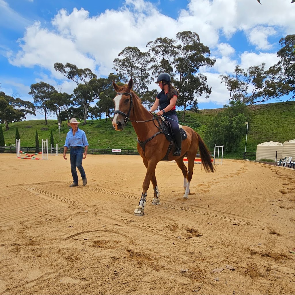 Equus Nexus | Anakie VIC 3213, Australia | Phone: 0428 446 717