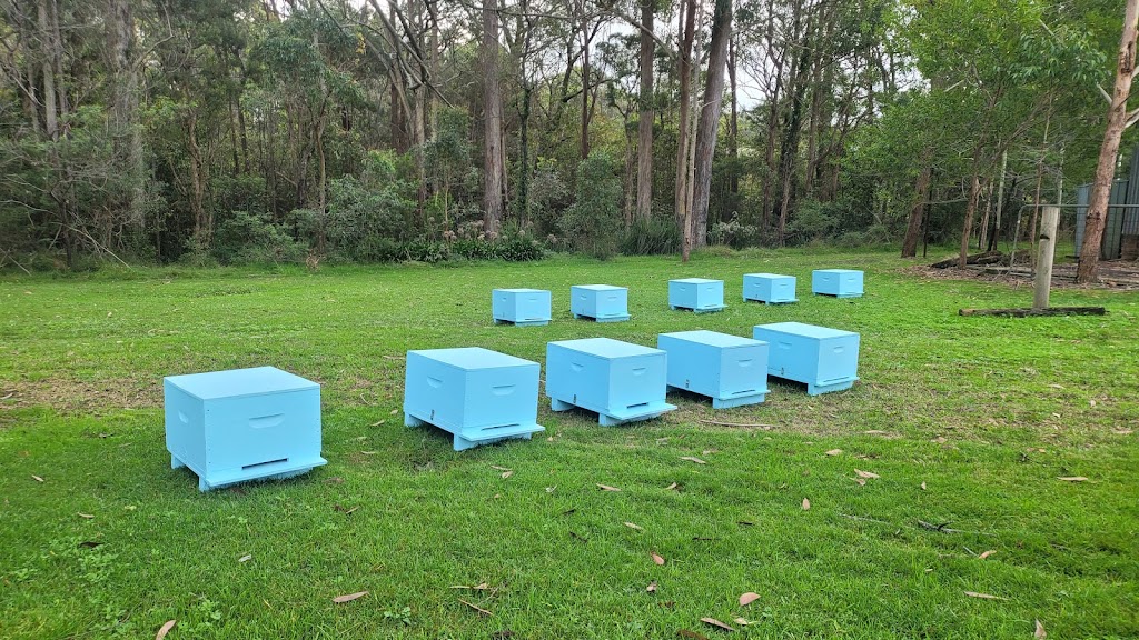 Lets go jervis bay | 555A Jervis Bay Rd, Woollamia NSW 2540, Australia | Phone: 0430 171 709