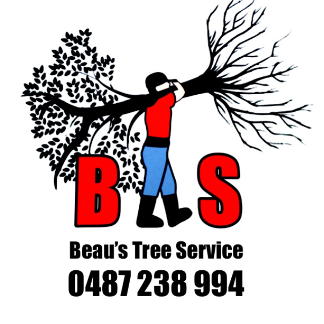 Beaus Tree Service | 9 Ginkers Way, Cooranbong NSW 2265, Australia | Phone: 0487 238 994