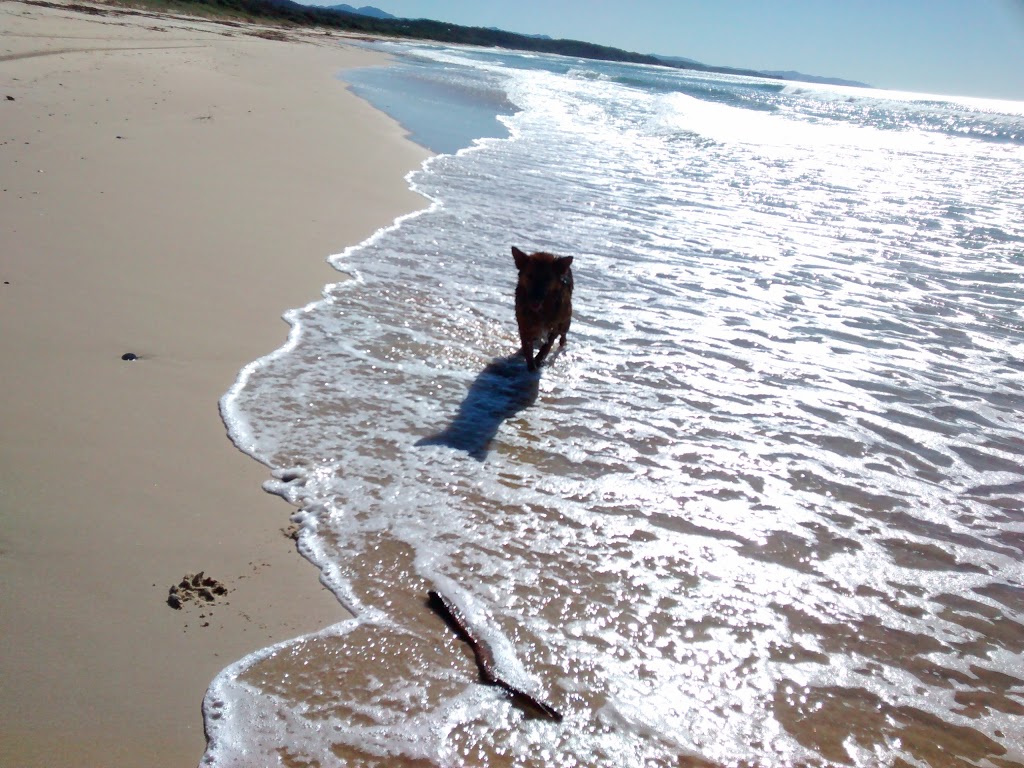 Nambucca State Forest | park | Nambucca Heads NSW 2448, Australia