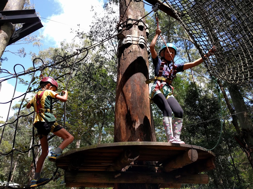 TreeTops Central Coast | Ourimbah State Forest, 1 Red Hill Rd,, Wyong Creek NSW 2259, Australia | Phone: 0455 334 945