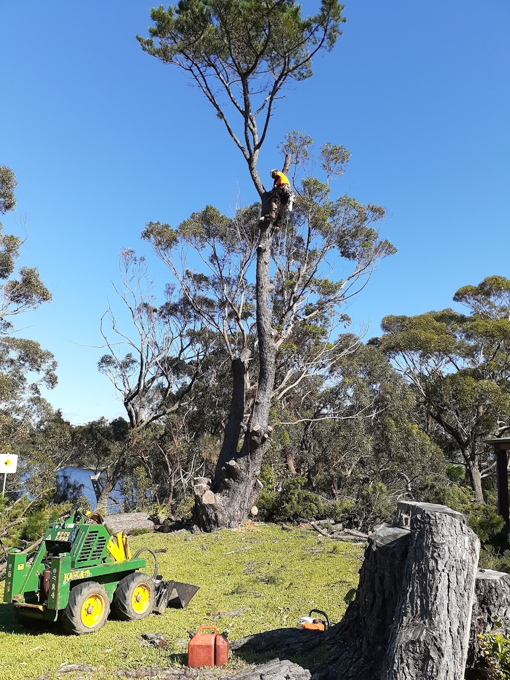 Bay and basin tree service |  | 3 Maxwell Cres, Sanctuary Point NSW 2540, Australia | 0414801730 OR +61 414 801 730