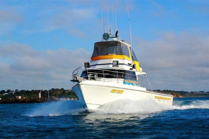 Proline Fishing Charters | Edward St, Currie TAS 7256, Australia | Phone: 0429 846 279