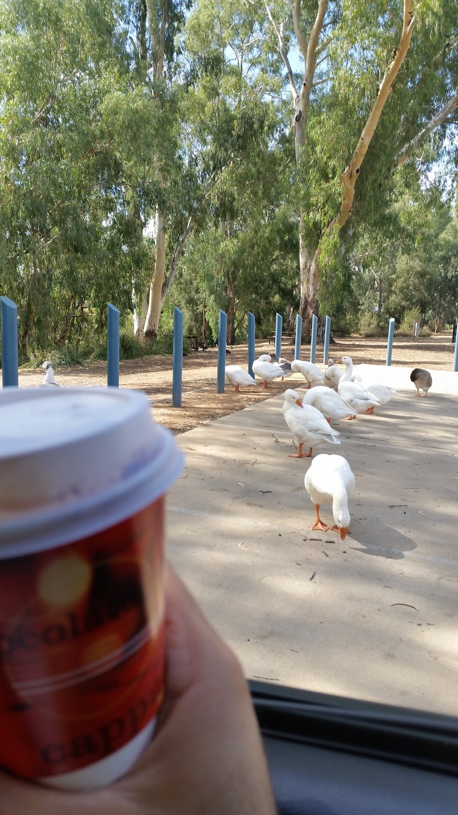 Sams Ducks car park | parking | 86 The Esplanade, Wagga Wagga NSW 2650, Australia