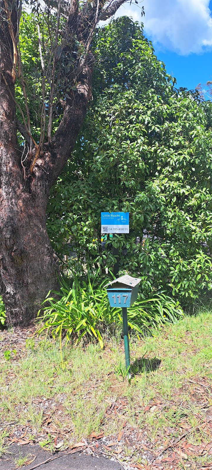 Little Ripple Coaching | 117 Henderson Rd, Wentworth Falls NSW 2784, Australia | Phone: 0478 549 895