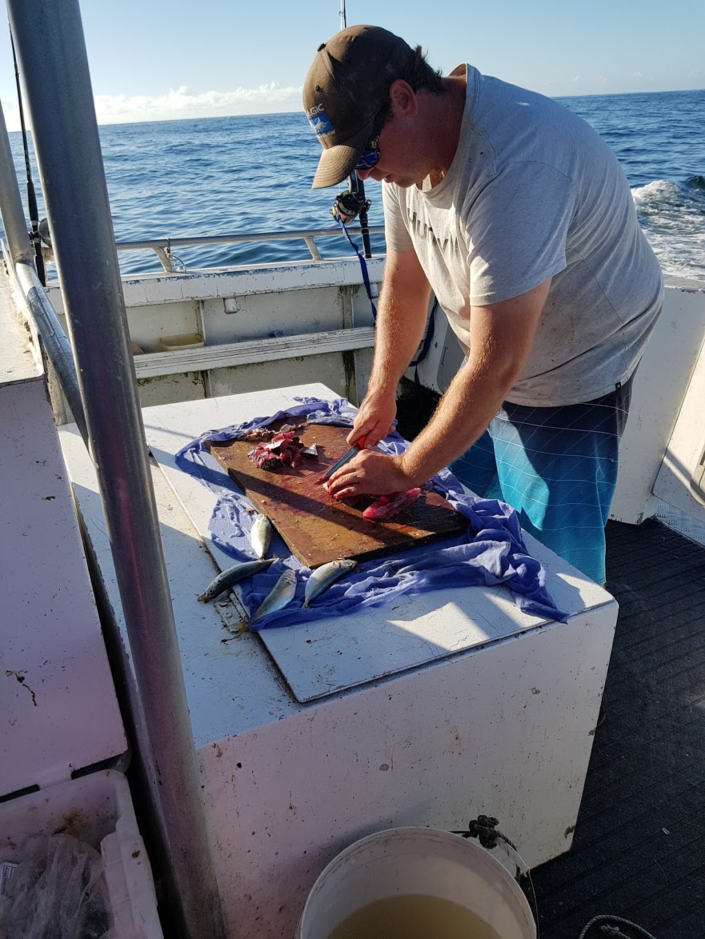 Sea Urchin Fishing Charters | South West Rocks NSW 2431, Australia | Phone: 0428 650 321