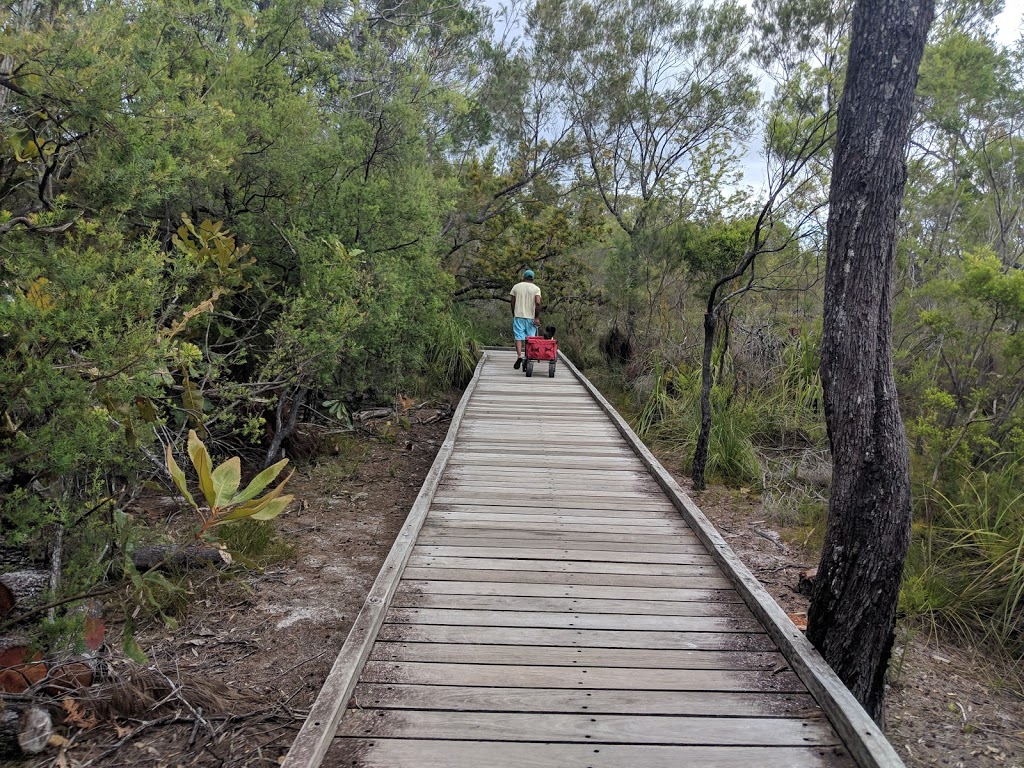 Searys Creek Day Use Area | park | Great sandy national park, Cooloola QLD 4580, Australia