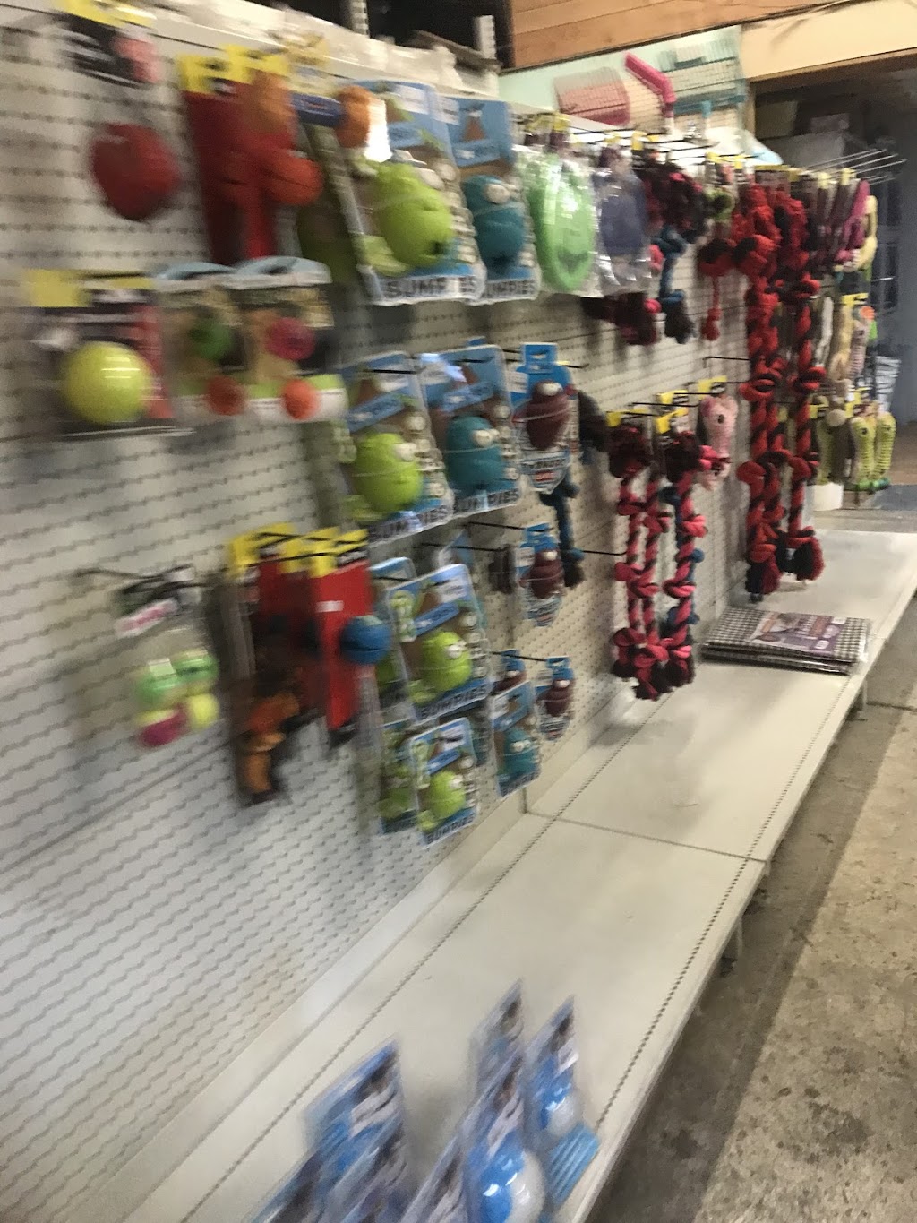 Karalee Pets N Produce | pet store | 2/245 Mount Crosby Rd, Karalee QLD 4306, Australia | 0732816455 OR +61 7 3281 6455