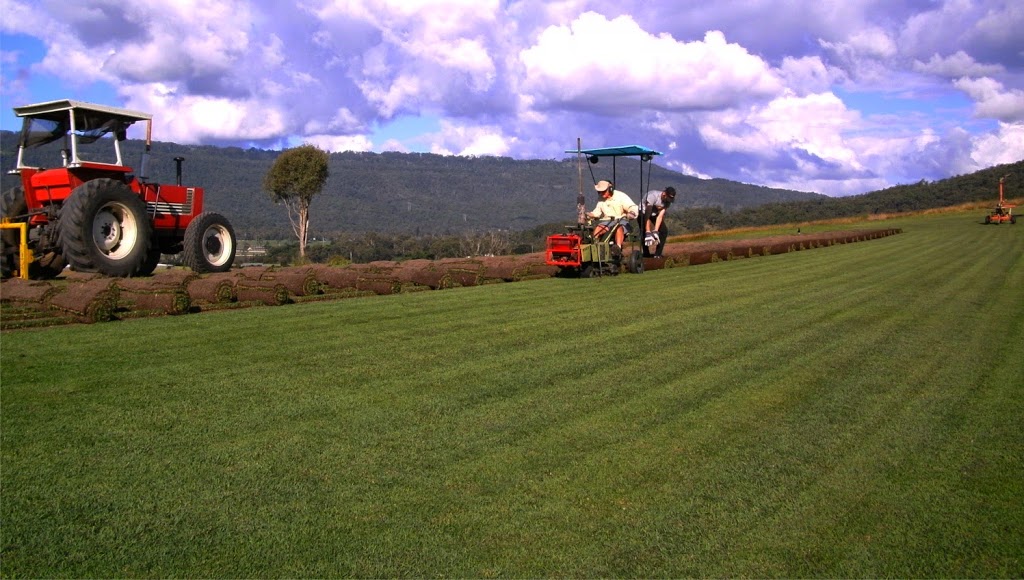 Ace Turf and Trees | Reiser Ln, Boyland QLD 4275, Australia | Phone: 0417 001 984