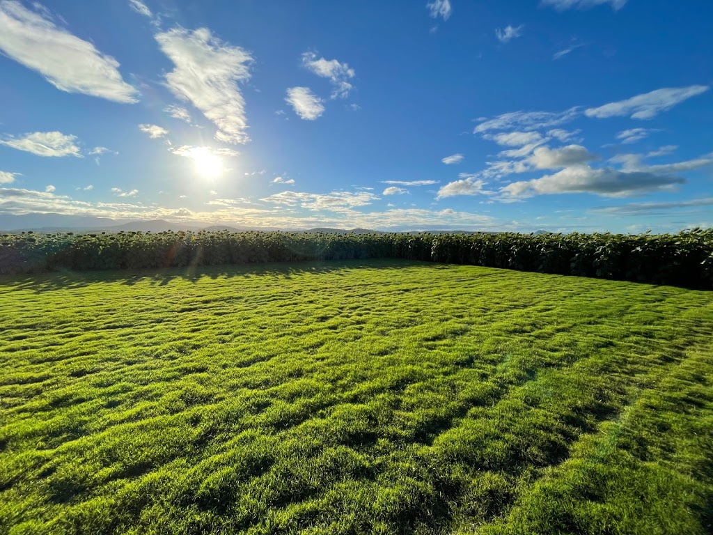 Scenic Rim Flower Farm |  | 56 Warumkarie Rd, Kalbar QLD 4309, Australia | 0418736588 OR +61 418 736 588